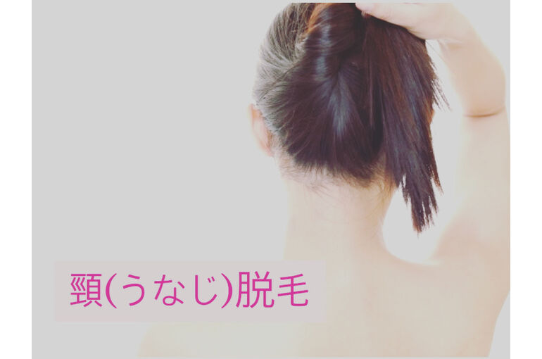 0AE1564F-D19B-4C99-8C67-BDA57EECD1D1